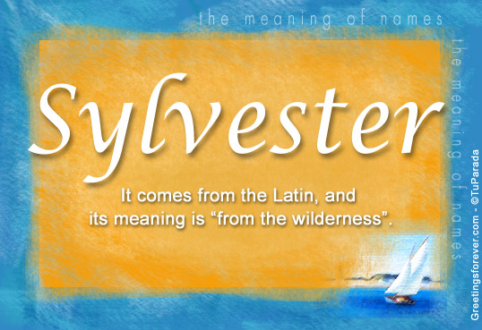 Sylvester Name Meaning Sylvester Name Origin Name Sylvester Meaning 