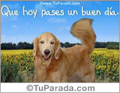 Que hoy pases un buen día