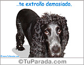 Cuando anochece...