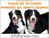 Gracias por los buenos momentos
