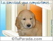 La amistad que compartimos...