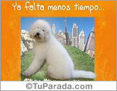 Ya falta menos tiempo...