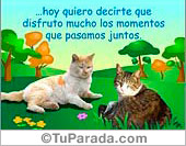 Porque un día nos encontramos...