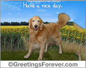Have a nice day ecard