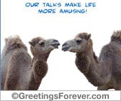 Our talks make life...