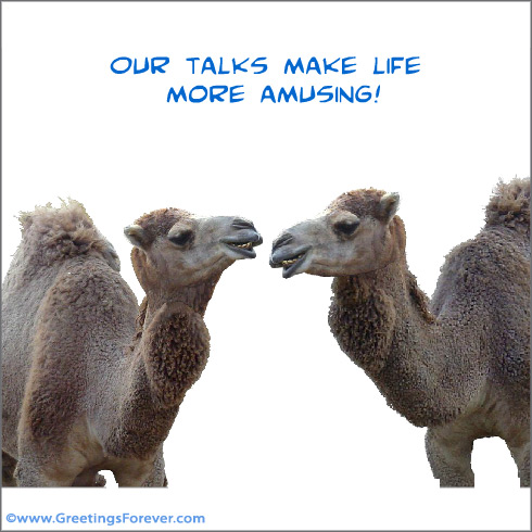 Our talks make life...