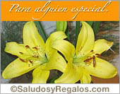 Para alguien especial con Liliums