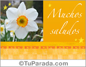 Tarjeta de saludos con flores