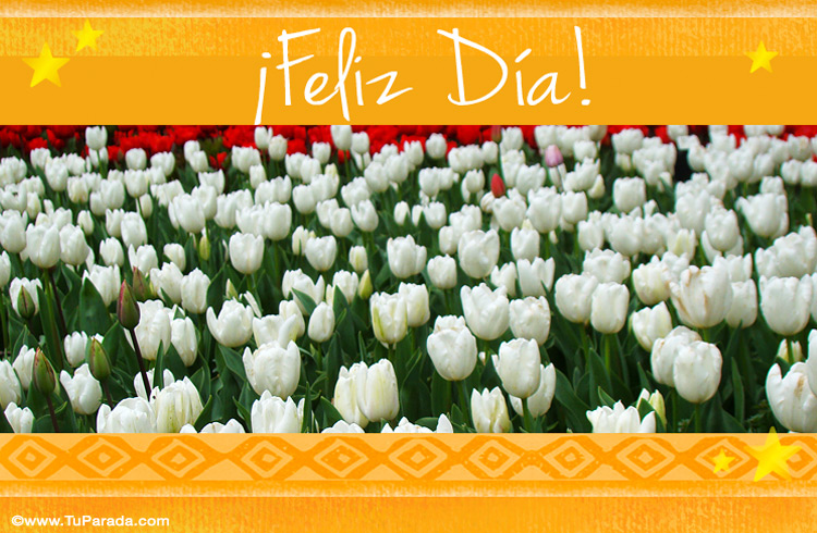  Saludos con tulipanes - Modelos de flores, tarjeta digital