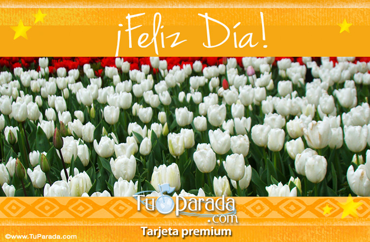 Tarjeta - Saludos con tulipanes