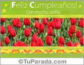 Tarjeta de cumpleaños con tulipanes