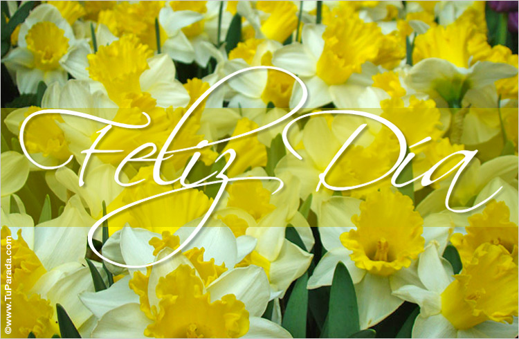 Feliz día con flores amarillas - Modelos de flores, tarjeta digital