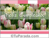 Tarjeta con tulipanes blancos