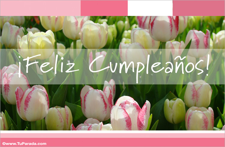  Tarjeta con tulipanes blancos, tarjetas de Flores para cumpleaños