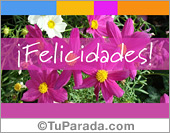 Felicidades con flores en lila y rosa