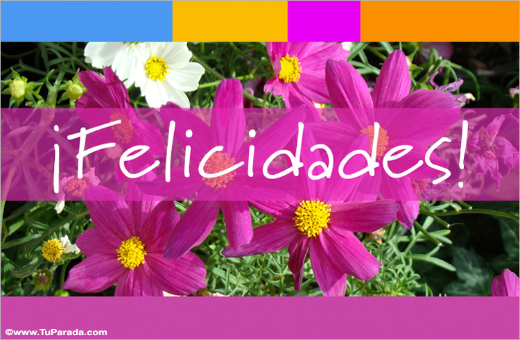 Imbécil ligado Pantera Felicidades con flores en lila y rosa - Modelos de flores, tarjeta digital