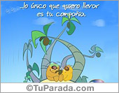 Lo único que quiero llevar...