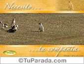 Necesito...
