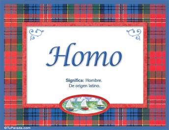 Homo - Significado y origen