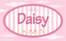 Daisy - Nombre decorativo