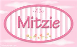 Mitzie, nombre de bebé de niña