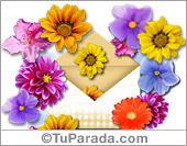 Tarjeta expandible: Gran día