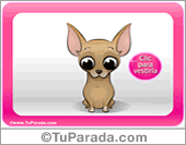 Chihuahua mujer