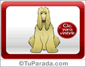 Perro Galgo Afgano