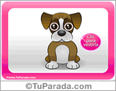 Perra Boxer