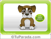 Perro Boxer