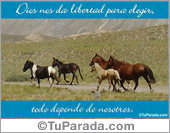 Libertad