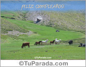 Feliz Cumpleaños