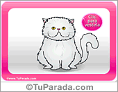 Gata blanca