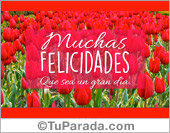 Tarjeta de felicidades con tulipanes