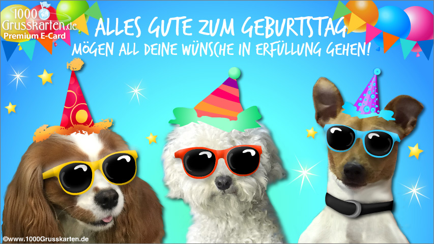 Geburtstagskarte mit Hunden