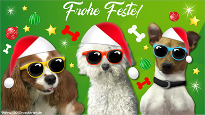 Weihnachtskarte mit lustigen Hunden