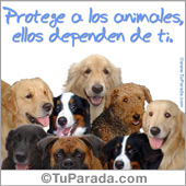 Protege a los animales