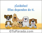 Tarjeta de Cuidado de los animales