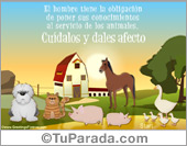 Tarjeta Cuidados y afecto