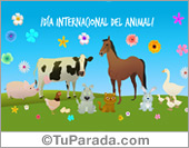 Día internacional del animal