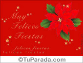 Muchas felicidades con flor navideña