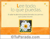 Lee todo lo que puedas
