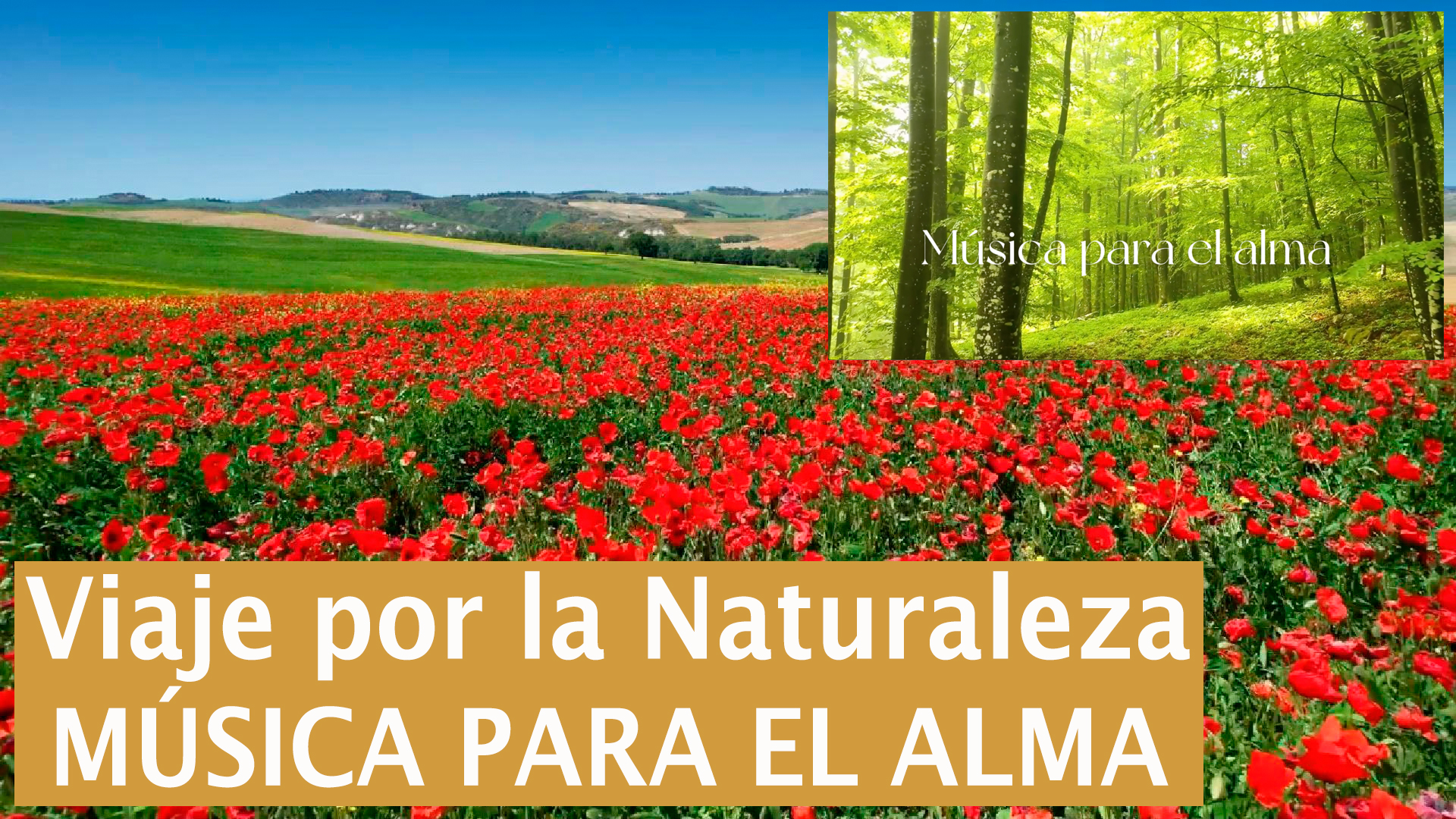 Viaje por la Naturaleza con Música para el Alma