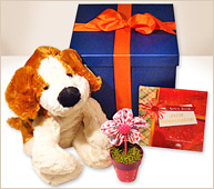 Set perro de peluche y libro.