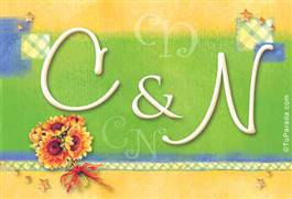 Origen y significado de C y N