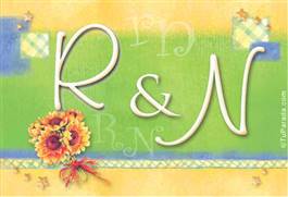 Origen y significado de R y N