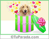 Caja de regalo con sorpresa