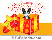 Caja mágica con sorpresa