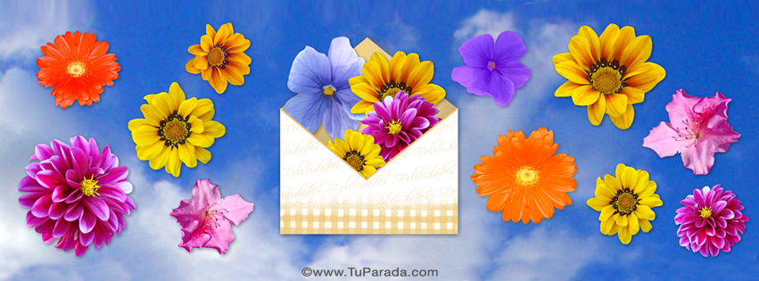 Imagen de foto de cielo y flores, para portada de Facebook, fondos de  pantalla, redes sociales, fotos, imágenes para compartir - Tu Parada