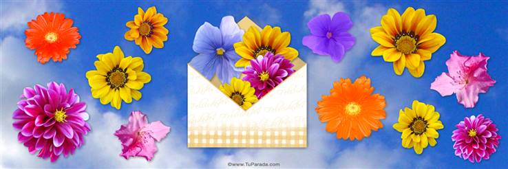 Imagen de cielo y flores para portada de Twitter, fondo de pantalla, foto  de flores grandes, imágenes de portada - Tu Parada
